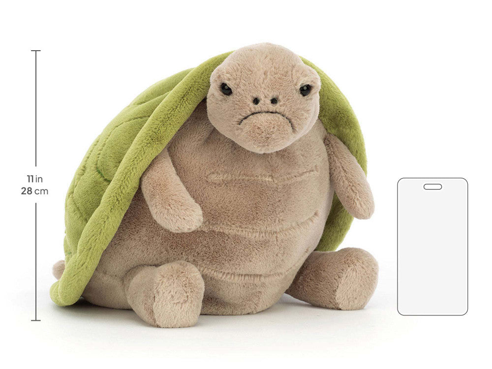 Timmy Turtle
